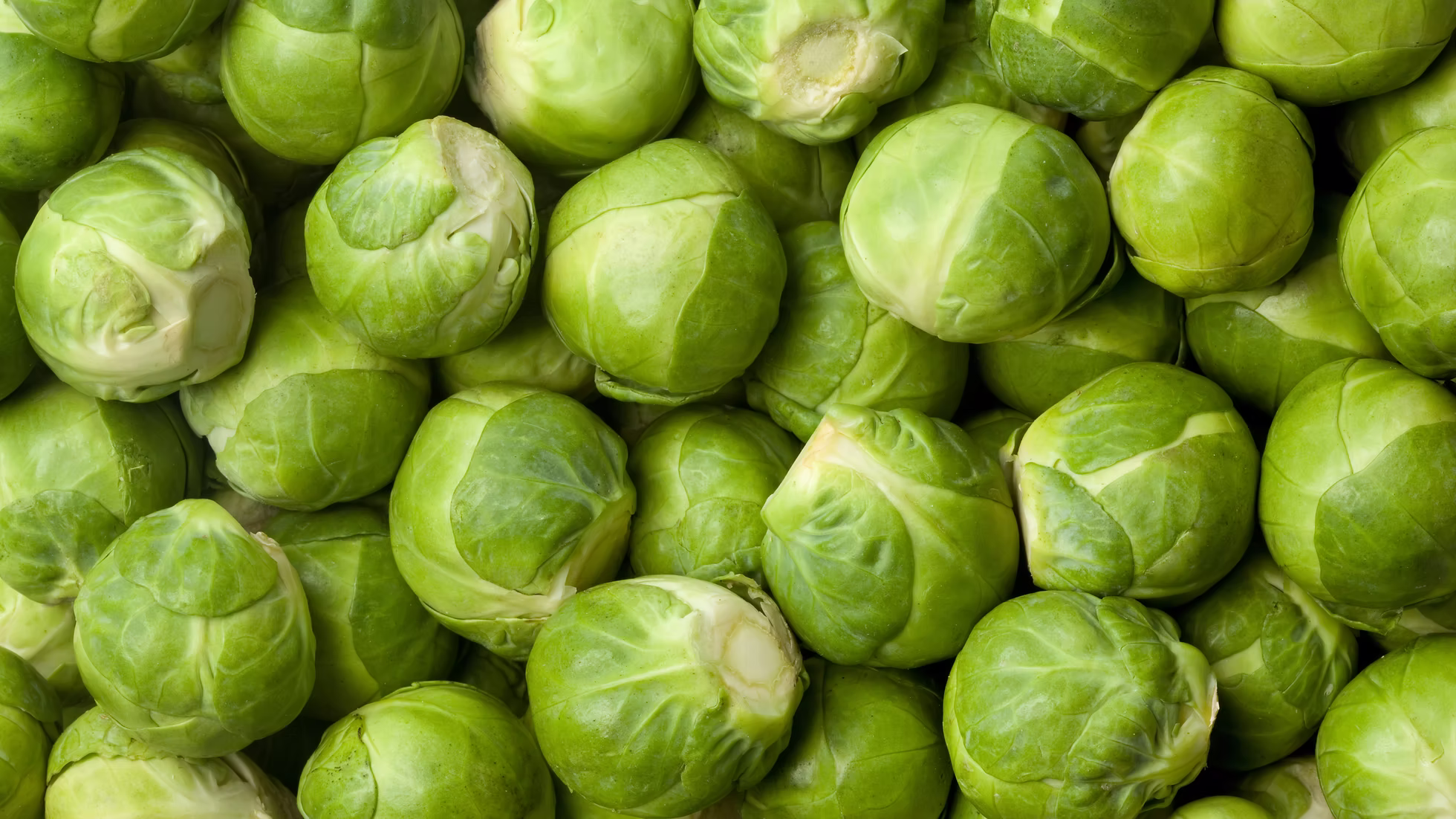 Brussels Sprouts