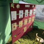 Countryside Lincs 2026 Stand